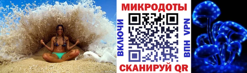 Псилоцибиновые грибы Cubensis  закладки  Палласовка 